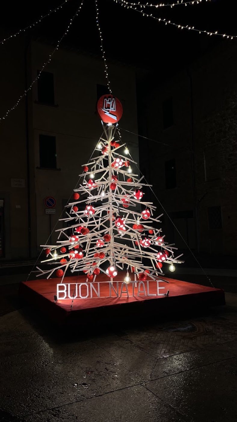 L'albero artistico del rione Moncioveta — 2024
